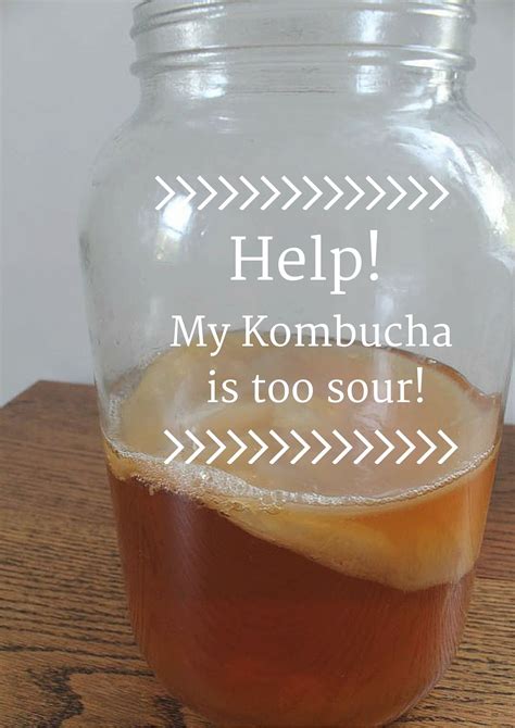 does kombucha have a lot of sugar