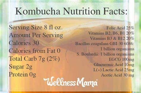 Does Kombucha Have B Vitamins