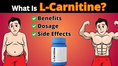 Does L-Carnitine Affect Birth Control
