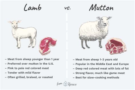 Does Lamb And Sheep Taste The Same