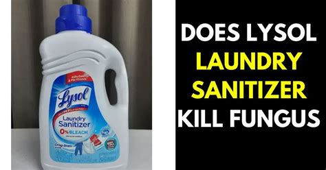 Does Laundry Detergent Kill Fungus