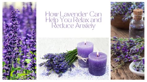 Does Lavender Really Help Anxiety