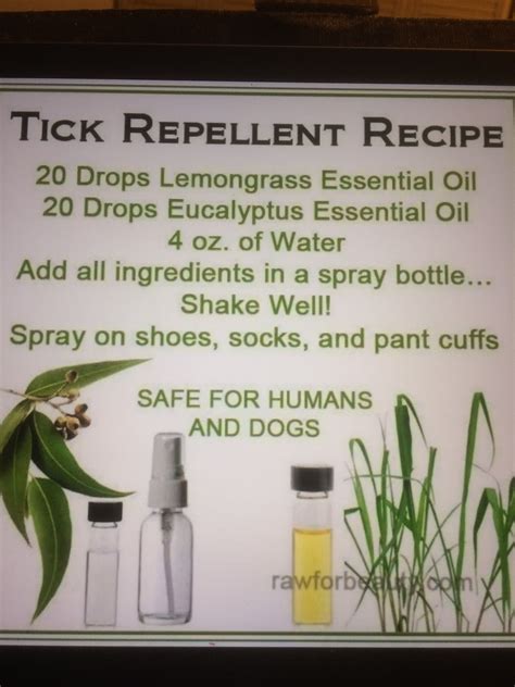 Does Lemon Kill Ticks