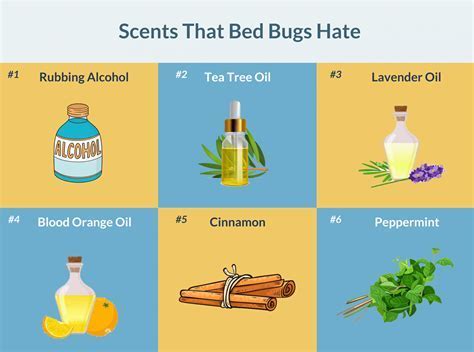 Does Lemon Oil Attract Bugs