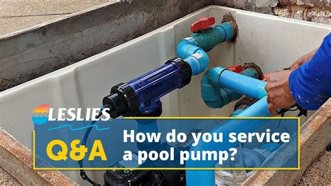 Does Leslie's Install Pools