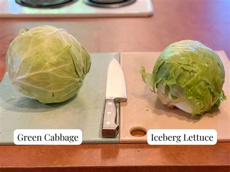 Does Lettuce And Cabbage Are Same
