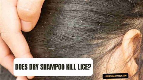 Does Lice Shampoo Hurt