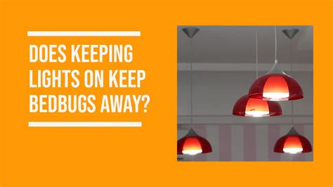 Does Light Keep Bedbugs Away