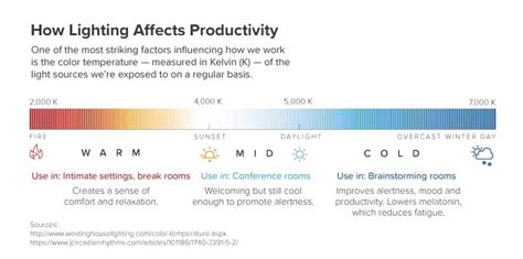 Does Lighting Affect Productivity