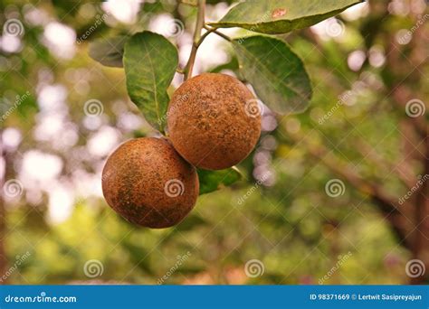 Does Lime Cause Rust