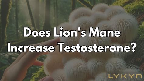 does lion's mane increase testosterone