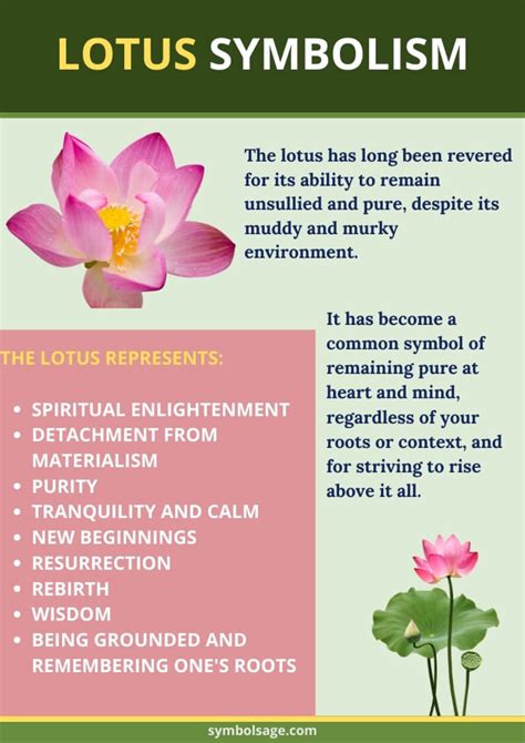 Does Lotus Flower Symbolize