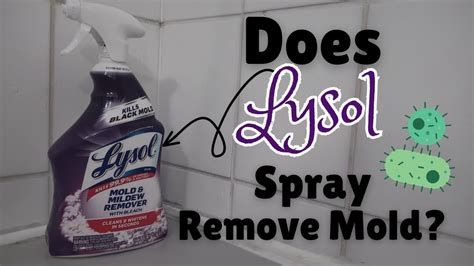 Does Lysol Kill Mold On Carpet