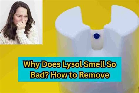 Does Lysol Kill Vomit Smell