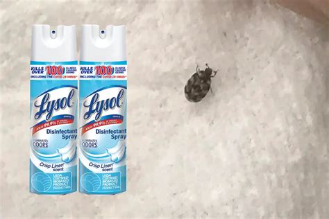 Does Lysol Spray Kill Stomach Bugs