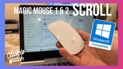 does magic mouse scroll work with windows