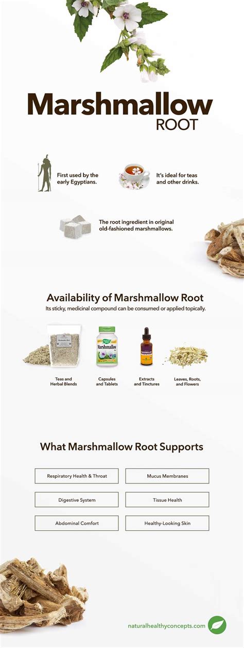 Does Marshmallow Root Help Gastritis