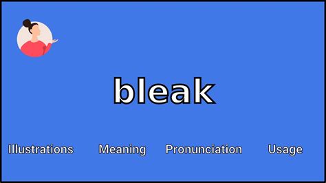 does mean bleak what