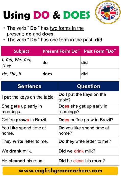 does meaning in english with example