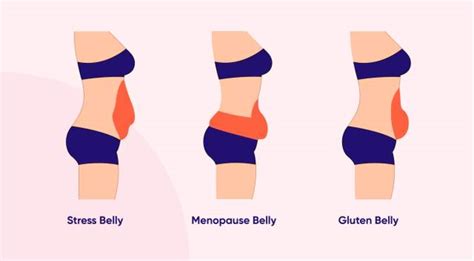 Does Menopause Belly Go