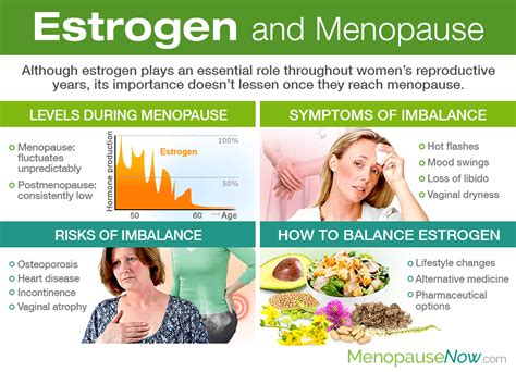 Does Menopause Increase Estrogen