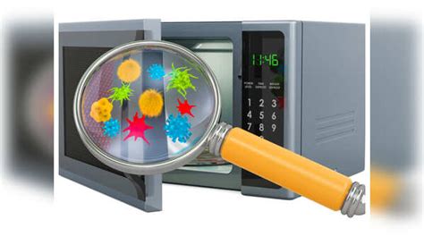 does microwaving food kill germs