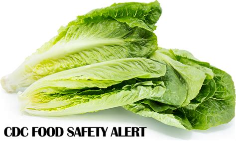 Does Microwaving Lettuce Kill E Coli