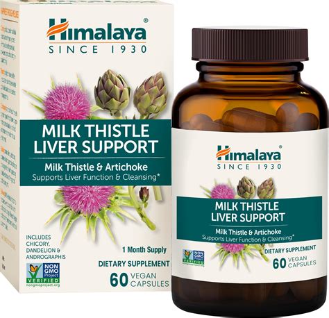 Does Milk Thistle Help Liver Damage