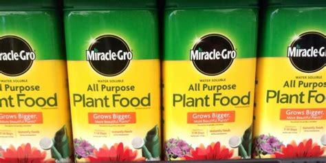 Does Miracle-Gro Liquid Go Bad