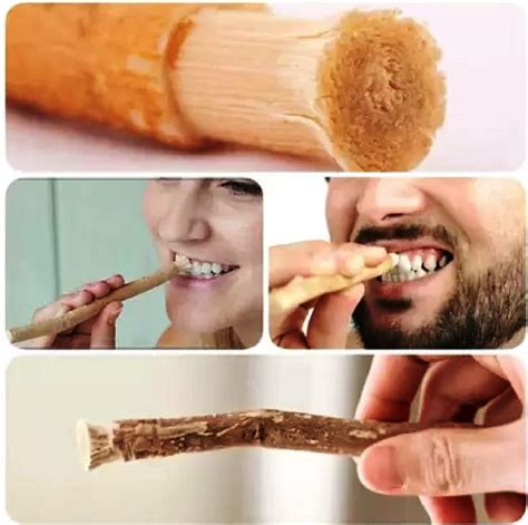 does miswak whiten teeth
