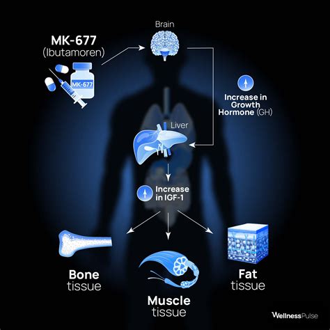 does mk 677 cause acne