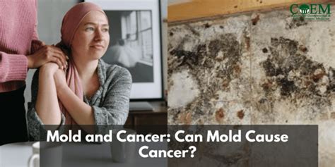 does mold cause cancer