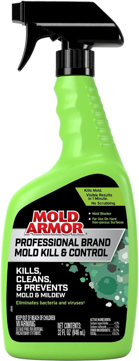 Does Mold Kill Bacteria