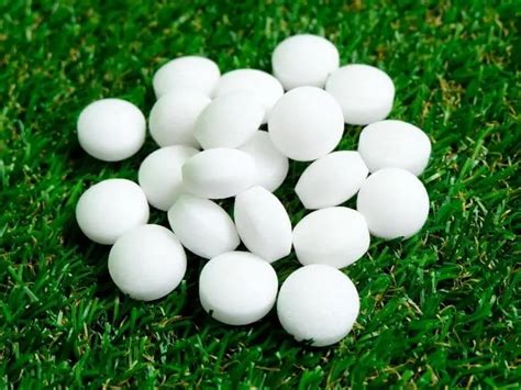 does moth balls repel skunks