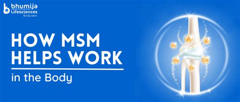 Does Msm Help With Pain