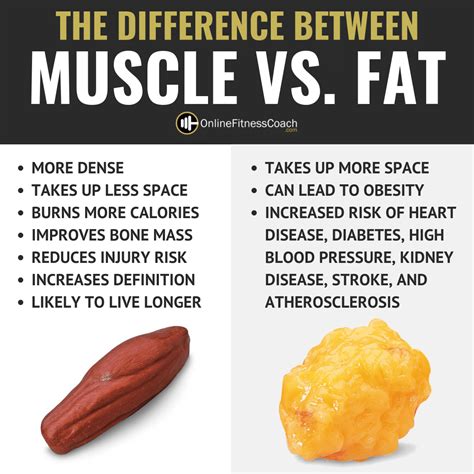 Does Muscle Feel Like Fat