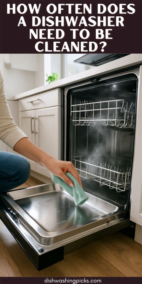 Does My Dishwasher Need To Be Cleaned