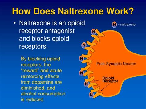 Does Naltrexone Block Vyvanse