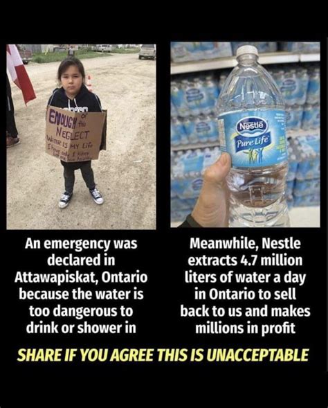 does nestle steal water