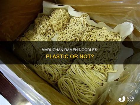 Does Noodles Contain Plastic
