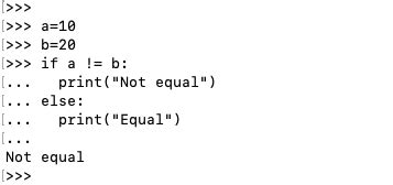 does not equal python operator