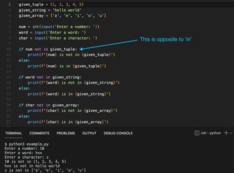 does not include python