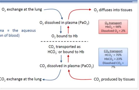 Does Oxygen Move From High To Low Pressure