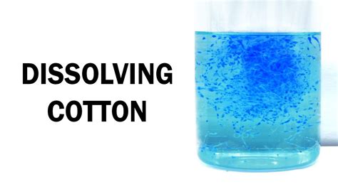 Does Paper Dissolve In Water