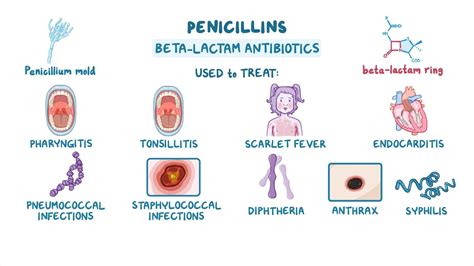 does penicillin treat bacterial infection