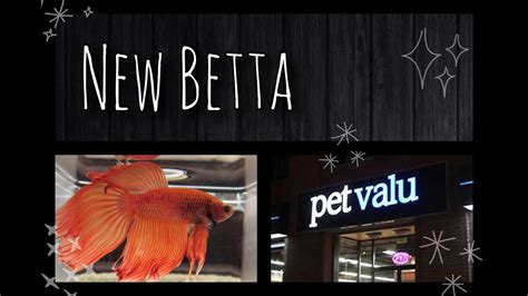Does Pet Valu Have Fish