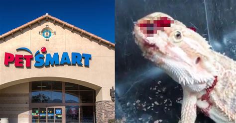 Does Petsmart Accept Animals