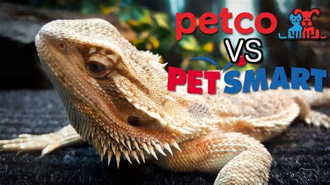 does petsmart have bearded dragons