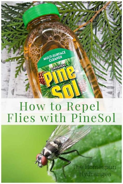 does pinesol get rid of flies