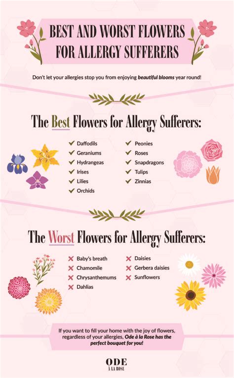 Does Plants Cause Allergies
